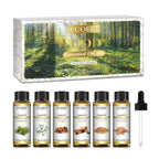 6 Bottles Floral Series Essential Oils Set for Diffuser Candle Making-Rose Lavender Ylang Ylang Jasmine Geranium Chamomile